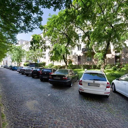 Seagull Spot Abrahama * غدينيا